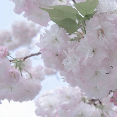 Furry色彩对比技巧Furry群